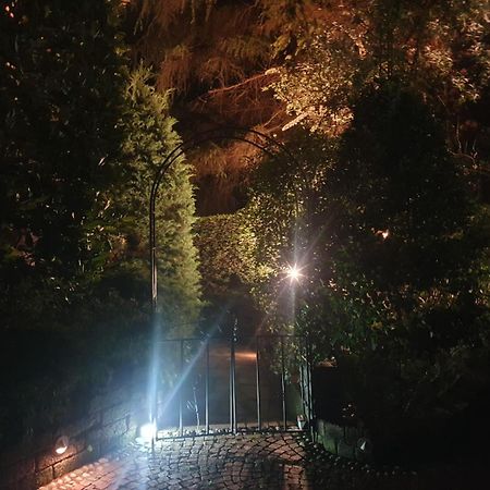 Апартаменти Rose'S Garden - Zona Tranquilla - Vicino Torino Pino Torinese Екстер'єр фото