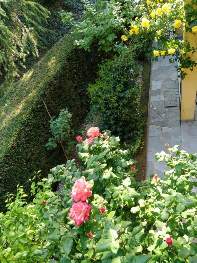 Апартаменти Rose'S Garden - Zona Tranquilla - Vicino Torino Pino Torinese Екстер'єр фото