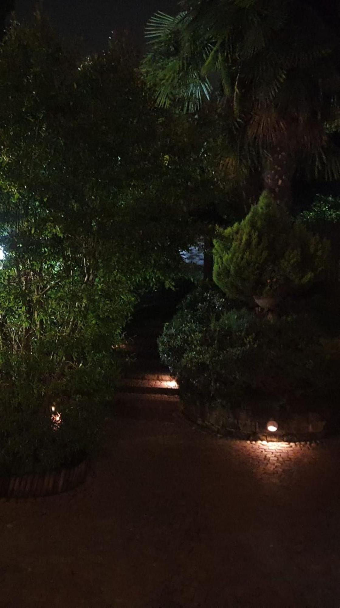 Апартаменти Rose'S Garden - Zona Tranquilla - Vicino Torino Pino Torinese Екстер'єр фото